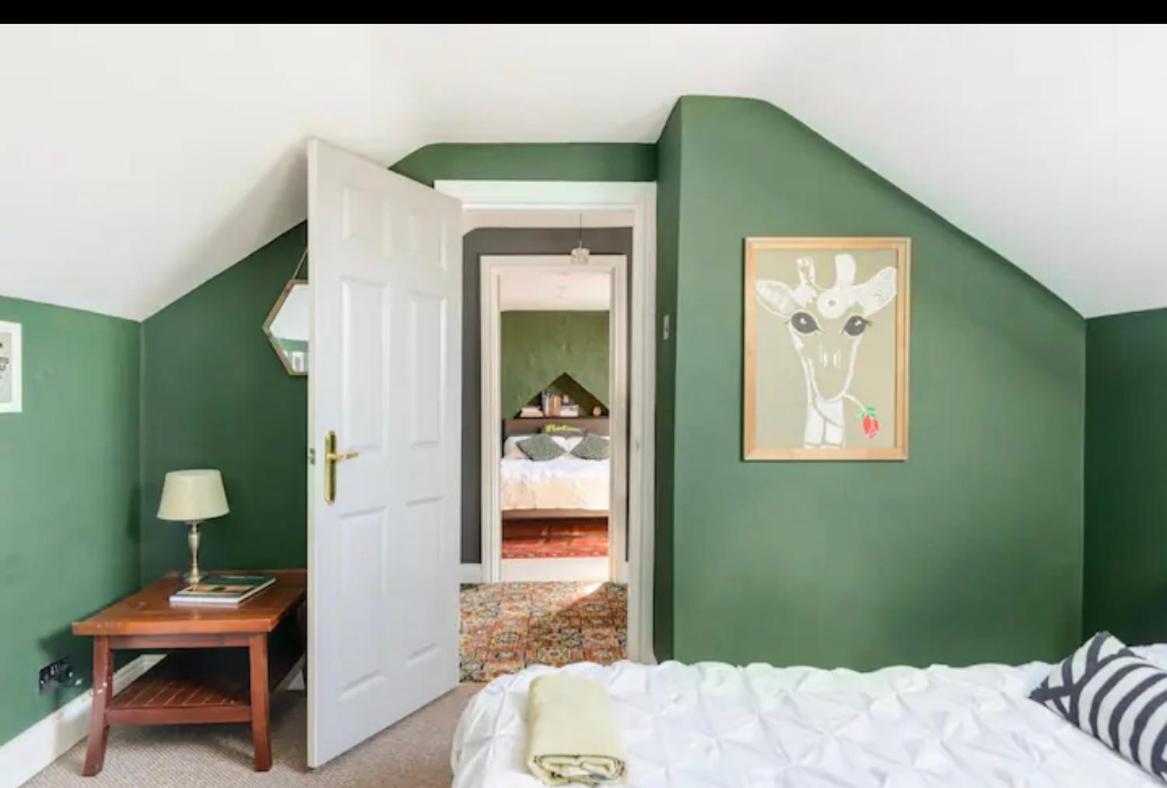 Gorgeous Homestay Belfast Eksteriør billede